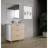 Módulo Baño 3 Cajones